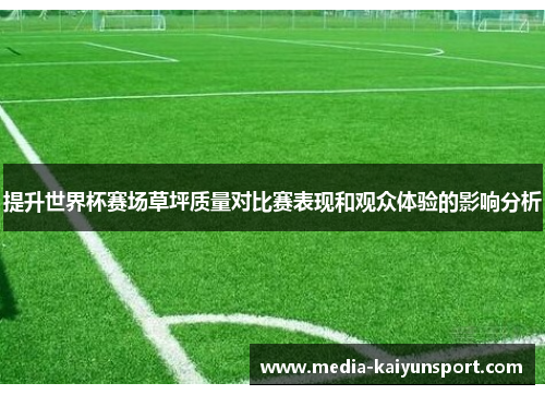 提升世界杯赛场草坪质量对比赛表现和观众体验的影响分析