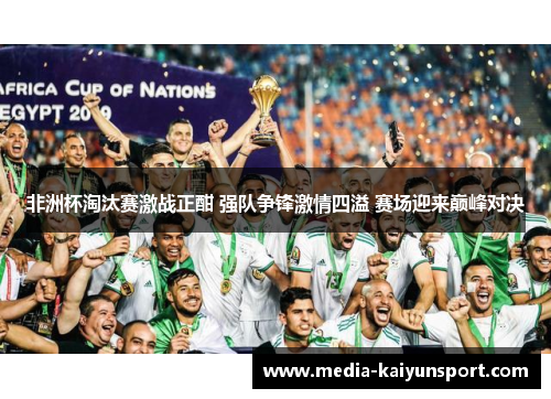 非洲杯淘汰赛激战正酣 强队争锋激情四溢 赛场迎来巅峰对决