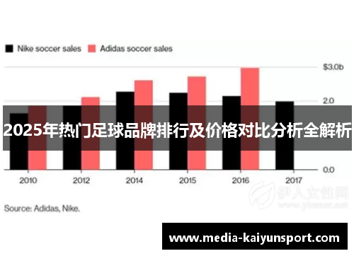 2025年热门足球品牌排行及价格对比分析全解析