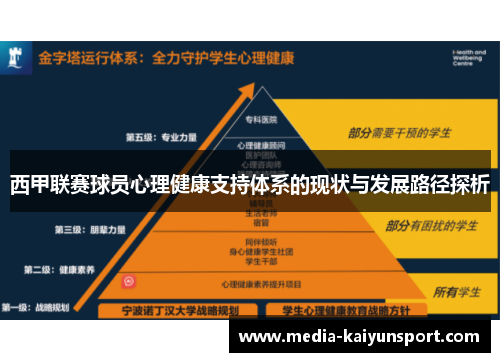 西甲联赛球员心理健康支持体系的现状与发展路径探析