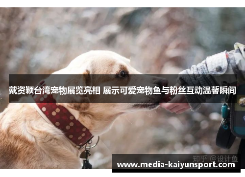 戴资颖台湾宠物展览亮相 展示可爱宠物鱼与粉丝互动温馨瞬间