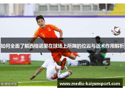 如何全面了解西格诺里在球场上所踢的位置与战术作用解析