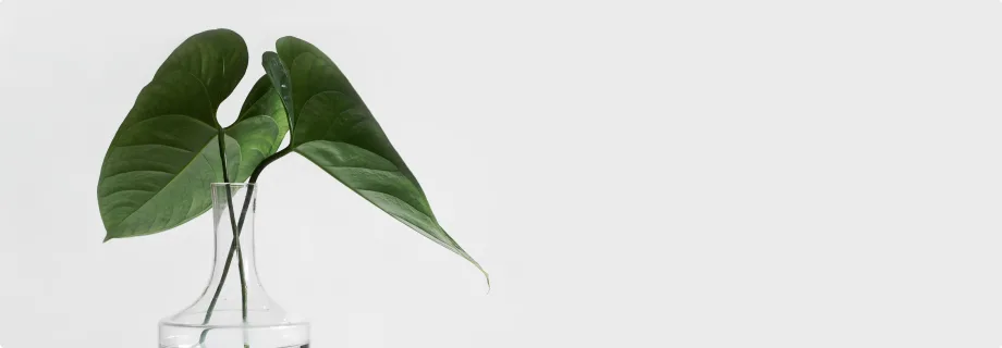Explore Our Latest Case Studies - kaiyun